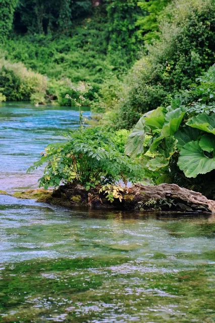 Perth Road Trip 🚗 Albany-Denmark Scenic Loop in Western Australia