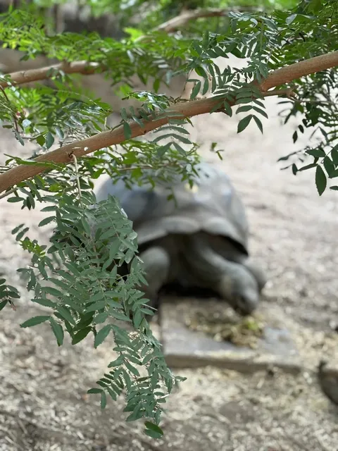 London Zoo: Far Beyond Expectations! 🌿🐾