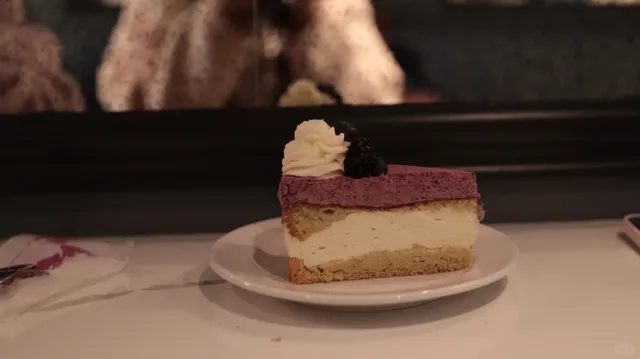 Asheville, NC Food Guide 🍽️✨