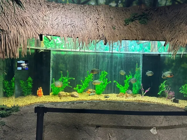 🦁 Henry Vilas Zoo – Madison’s FREE Gem! 🐯