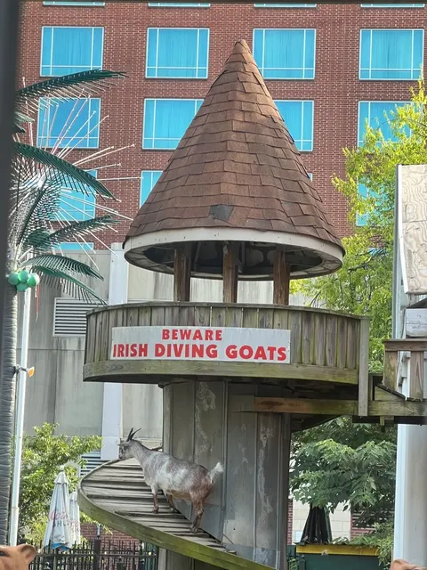 Memphis Food Exploration 1 🍴✨