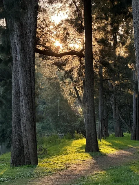 🇦🇺🇲🇾 Sydney + Gold Coast 9D8N Trip