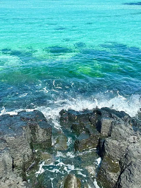 🇰🇷 Jeju Island! A Seriously Underrated Gem🌊