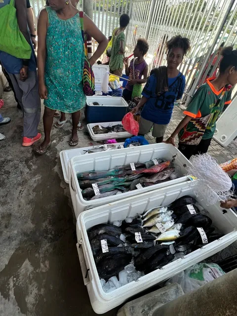 🇵🇬 Madang Fish Market - A Seafood Lover’s Paradise!