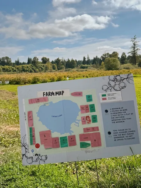 ​​Larsen Lake Blueberry Farm | Seattle's Sweetest Summer Activity 🫐​​