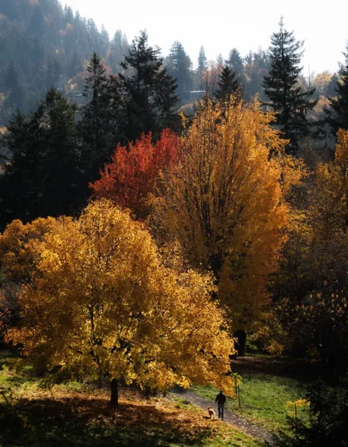 Two Landscapes in Autumn 🌟