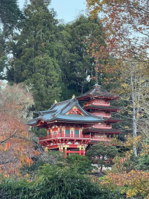 🌳✨ Golden Gate Park: Urban Oasis in San Francisco 🌼🏙️