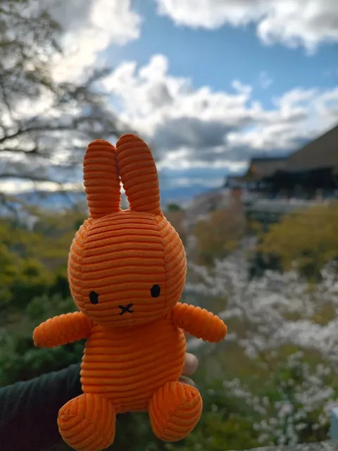 Kyoto Itinerary Recommendation 🌿