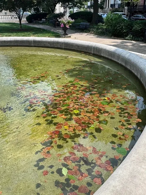 🌳 Baltimore’s Not the Prettiest – But It Has the Best Park