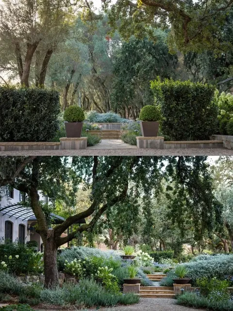 Lucas & Luca Estate: Where Sonoma's Soul Blossoms