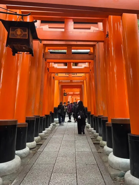 Wandering in Tokyo 🌟