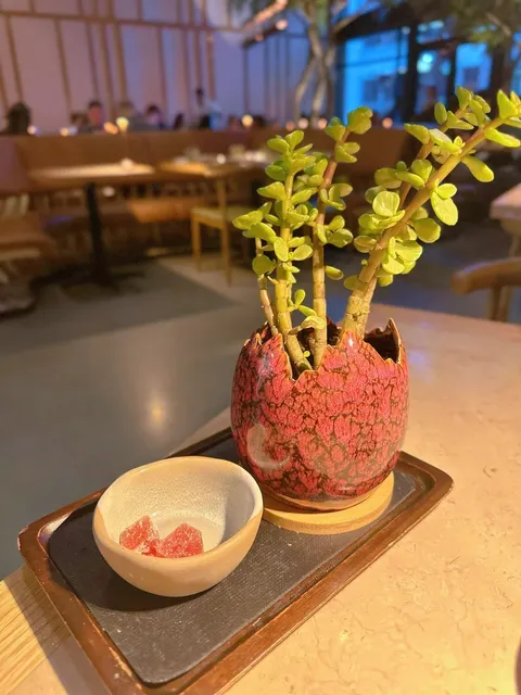 🇺🇸 San Jose's New Hot Spot – Eos & Nyx 🍽️✨