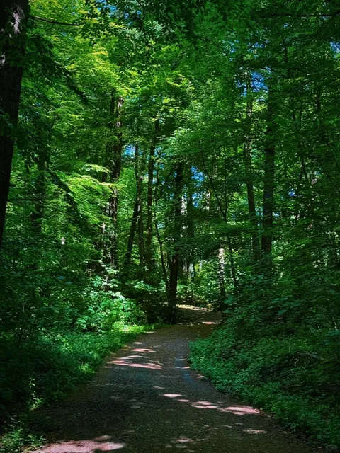 🇩🇪 Enchanted Hike in Dortmund📸📸