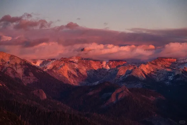  Winter Day Trip to Sequoia & Kings Canyon National Parks 🌲❄️