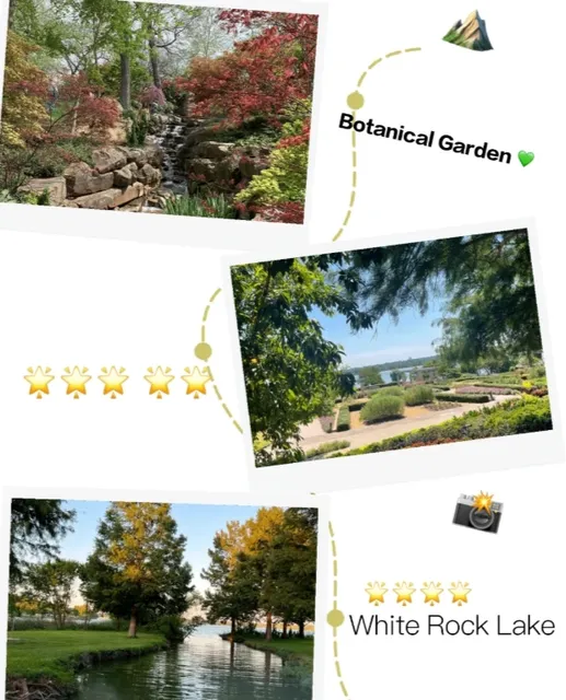 A Springtime Hidden Gem in North Dallas🌷