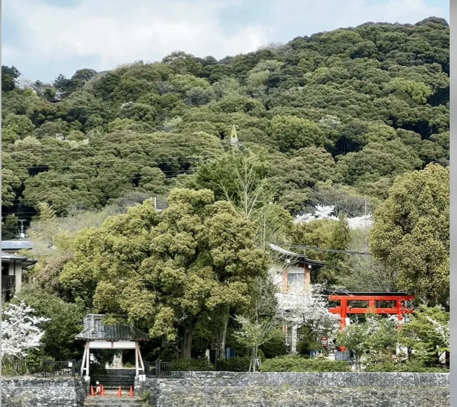 photo-3