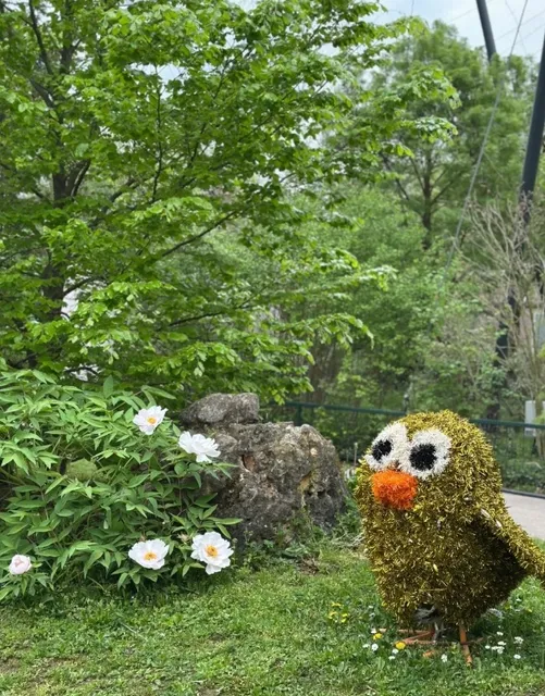 Zagreb Zoo: A Wild Oasis in the City