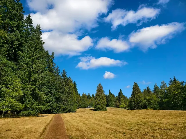 Solo Trip in Seattle: A Decade-Later Journey to Find Myself Again ✈️❤️