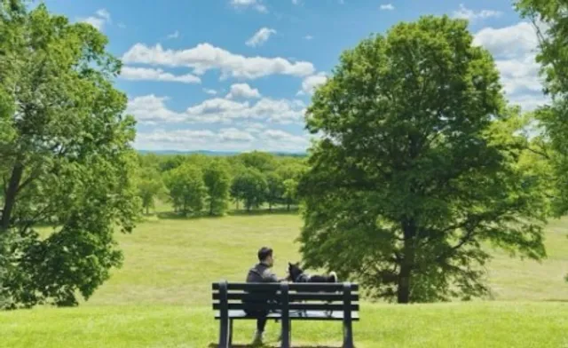 Friendship Hill National Historic Site 🏞️📜