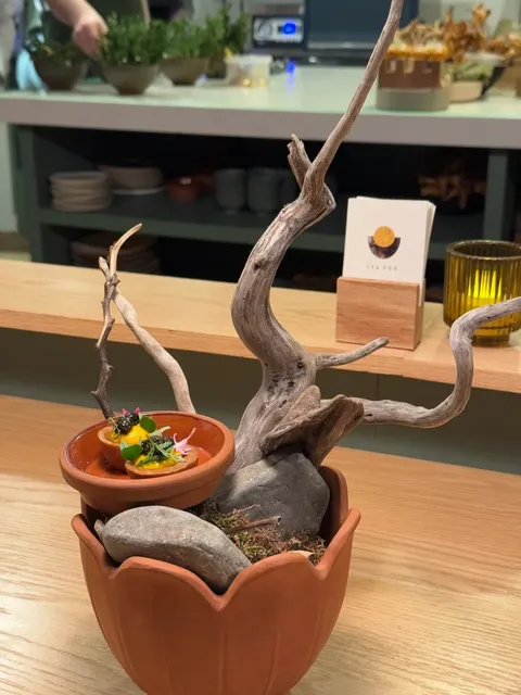   The Pine - Worth the 96km Trek for This Chinese Fusion Feast! 🥢✨  