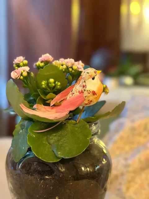 🇮🇹 Turin Foodie Find: Trattoria Sorriso