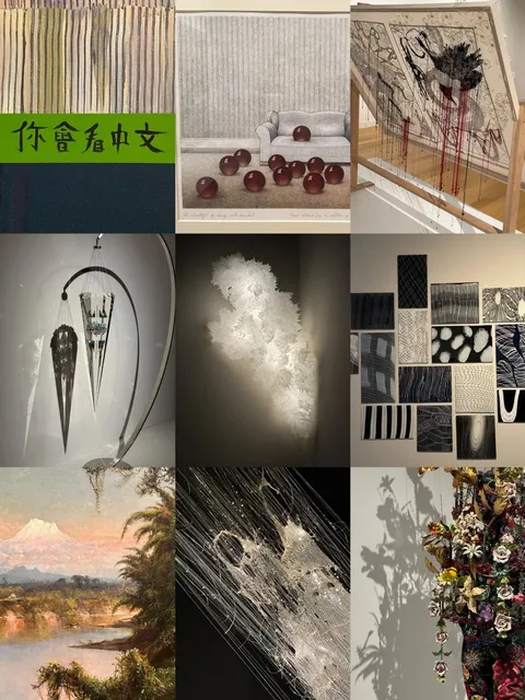 🌞 Weekend Trip | Charlotte NC 🐝 Itinerary + Food Guide