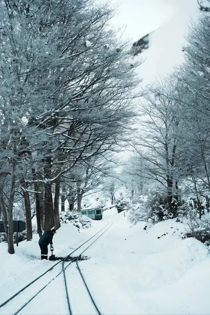 🇦🇷 Journey to the End of the World with Darwin – 2-Day Ushuaia Guide