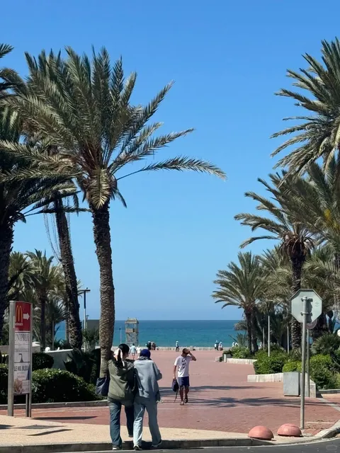 🇲🇦 An Underrated Gem in Morocco!📍 Agadir