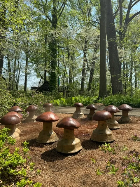 Philadelphia Surroundings | Winterthur’s Enchanted Woods