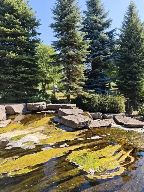 ​​🇨🇦 Hidden Gem Alert: Richmond Green Park - Toronto’s Local Oasis! 