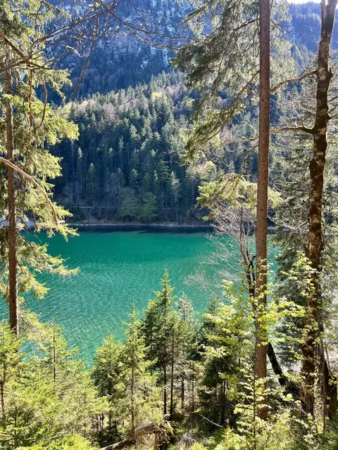 🇩🇪 Eibsee Lake: The Ultimate Alpine Escape! 🏞️✨