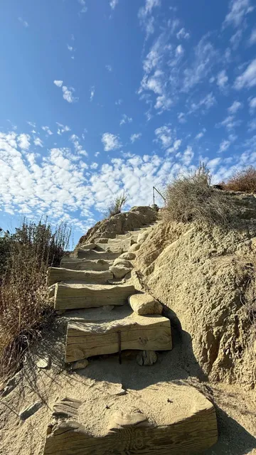 🏞️ Runyon Canyon Trail 🐕