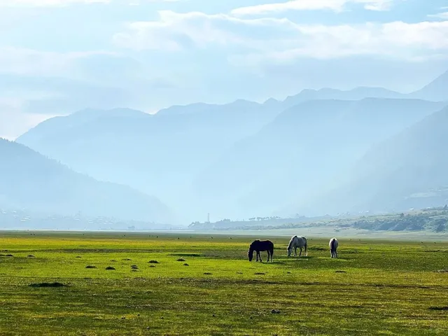 Dhorpatan in the Monsoon