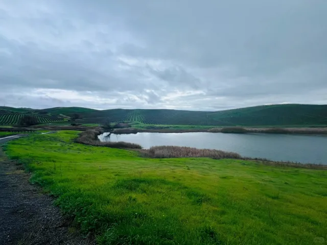 With $30 Million in Napa, What Can You Buy? Let’s Take a Look! 