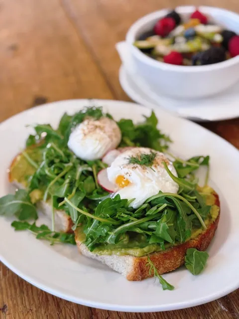 Tatte Bakery & Cafe - Where Harvard Students Pretend to Study 📚☕  