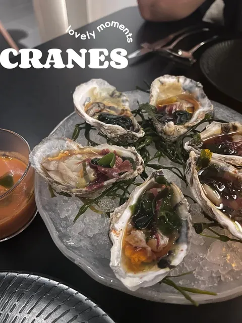 DMV Dining | Former Michelin Restaurant Perfect for Dates 🥀