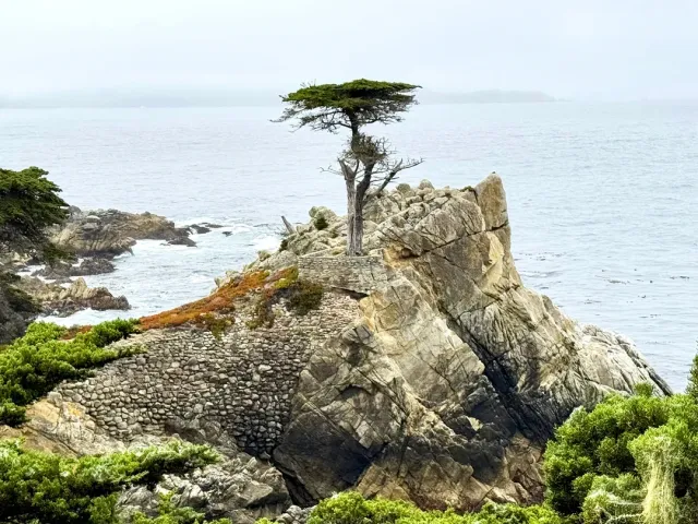 🌟 An Unforgettable Journey with the Best Guide! 🌟