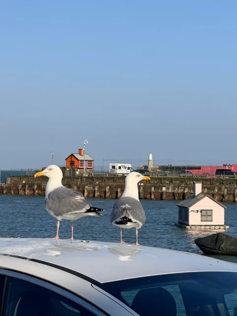 Folkestone is Now My No.1 Favorite UK Town!