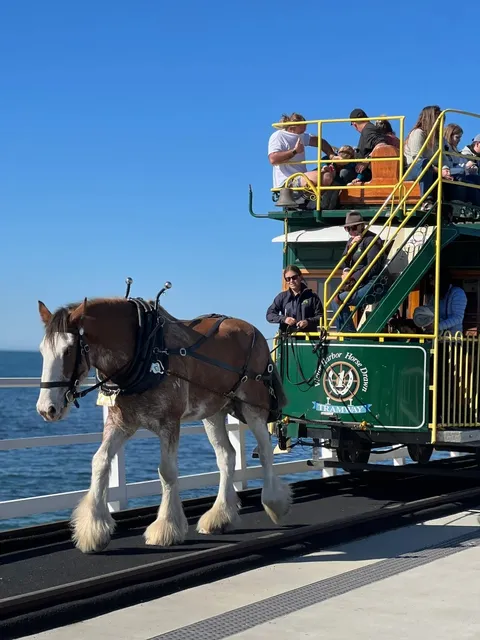 🇦🇺 Adelaide Travel Diary: Beyond Expectations!