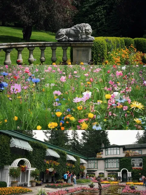 🇨🇦 Victoria Day Trip Guide | Perfect Itinerary! 🚢🌿