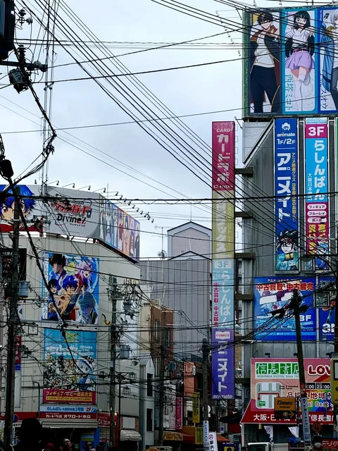 🌸 Japan Travel Diary 👘