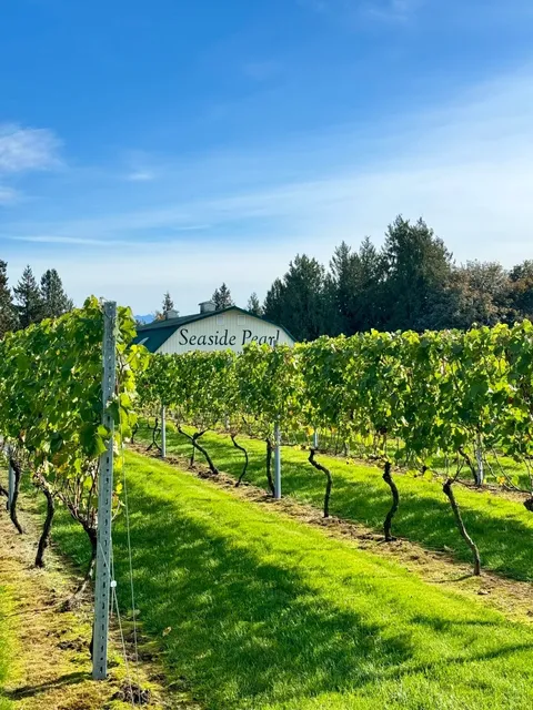 Vancouver | Here, You’re Allowed to Stay Childlike at Heart 🐮