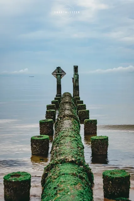 Virginia Beach｜Saving Summer & the Sea in My Memories 💛💙