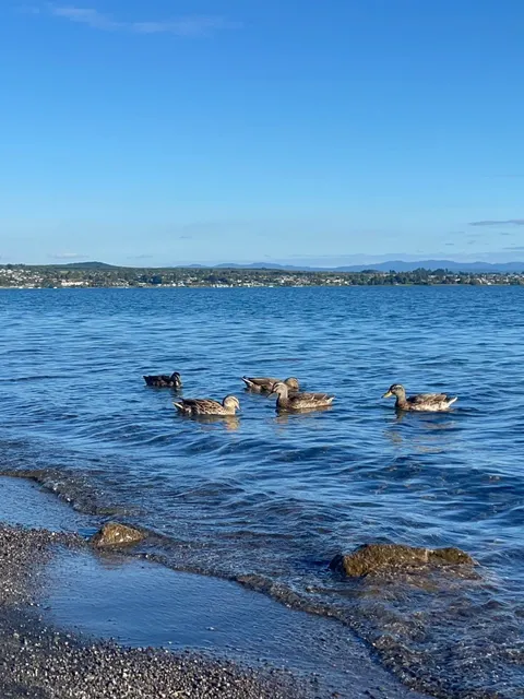 God's Own Garden | North Island, NZ 🇳🇿
