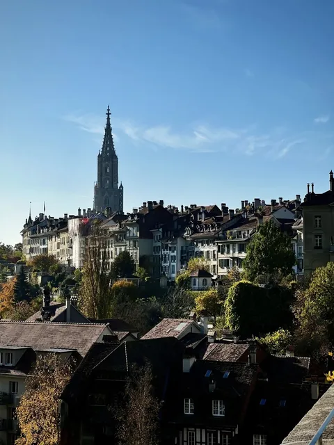 🌟 Never in a million years did I expect a brewery + bear park 