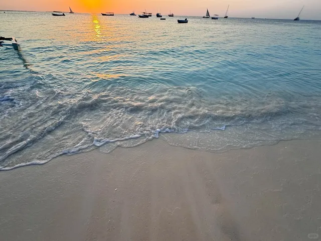 🇹🇿 Zanzibar Dolphin Adventure & Island Relaxation