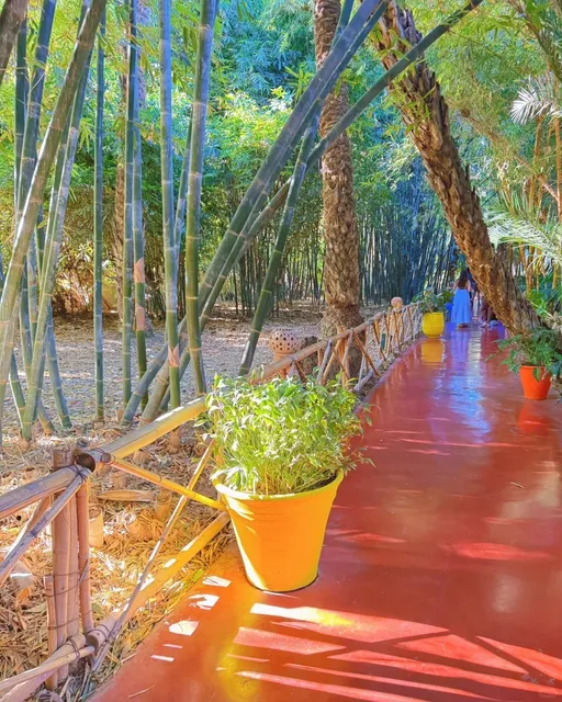 This garden is so surreal! 🌵😲（1）