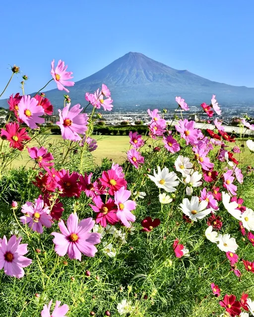  Fuji-Hakone-Izu National Park