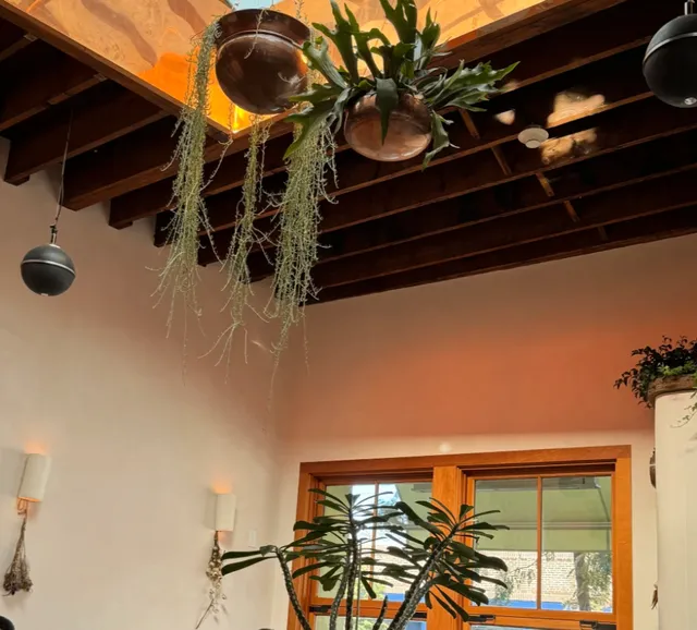 Sunlit Moments with Handcrafted Pottery Cups