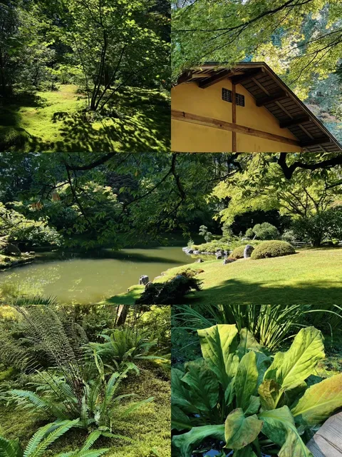 🇨🇦 UBC’s Secret “Moss Garden” | Nitobe Memorial Garden 🌿  